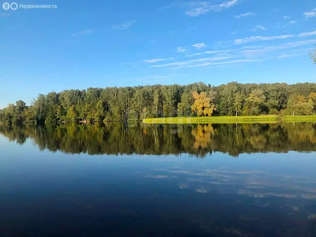 Дом в Пушкино, микрорайон Новая Деревня, Центральная улица, 98 (158.2 ... - Фото 1