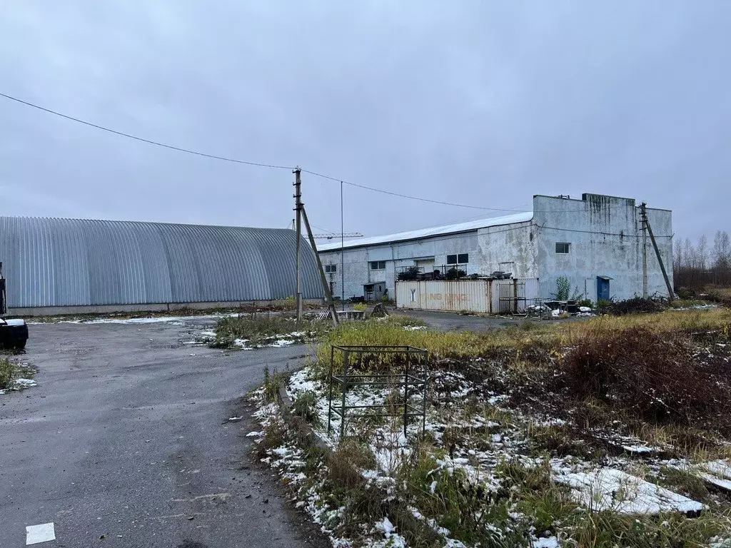 Склад в Нижегородская область, Кстовский муниципальный округ, Дружный ... - Фото 0