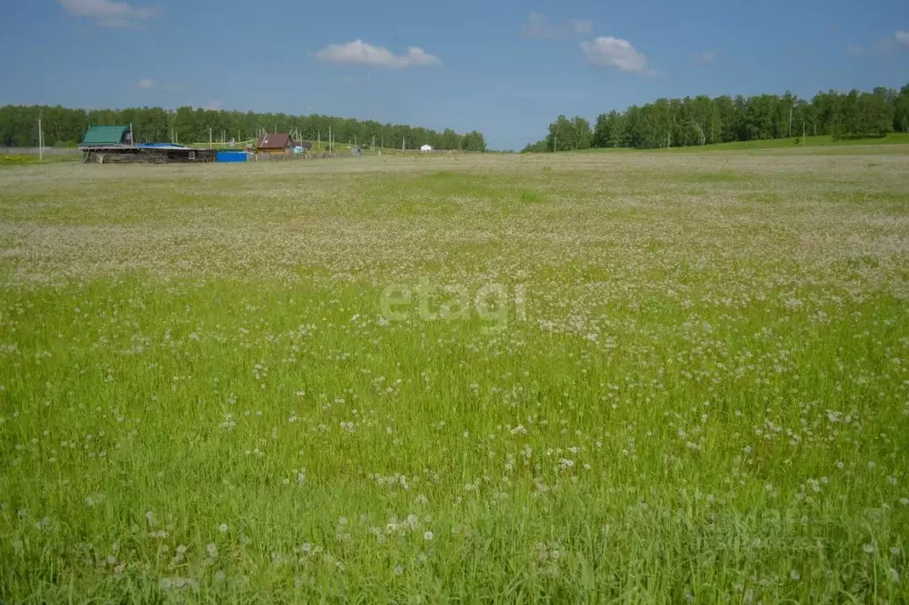 Участок в Кемеровская область, Прокопьевск Сафоново мкр,  (9.5 сот.) - Фото 0