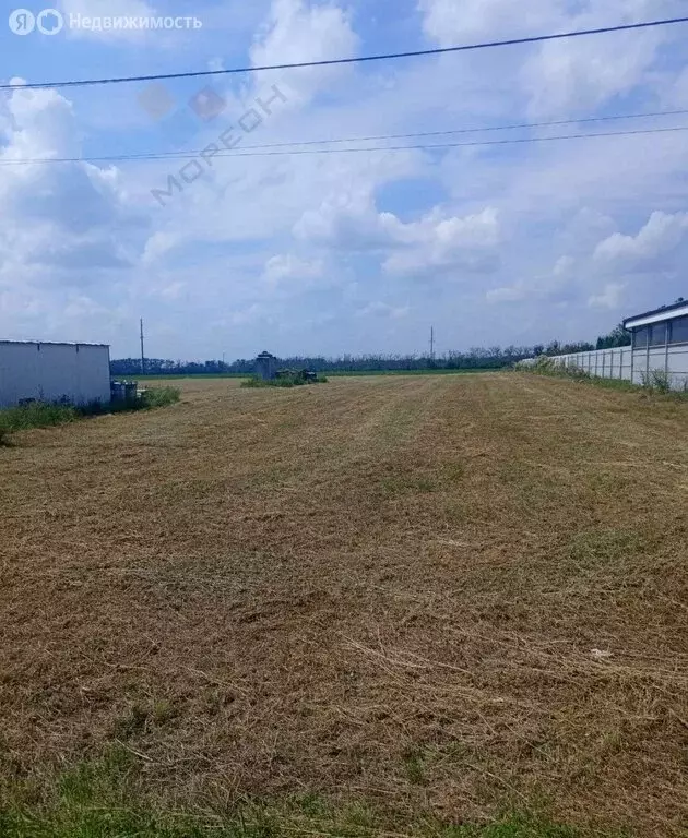 Участок в хутор Беднягина, Российская улица, 59 (19.55 м) - Фото 1