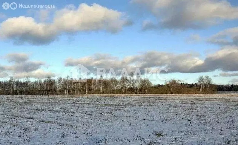 Участок в Суздальский район, муниципальное образование ... - Фото 1