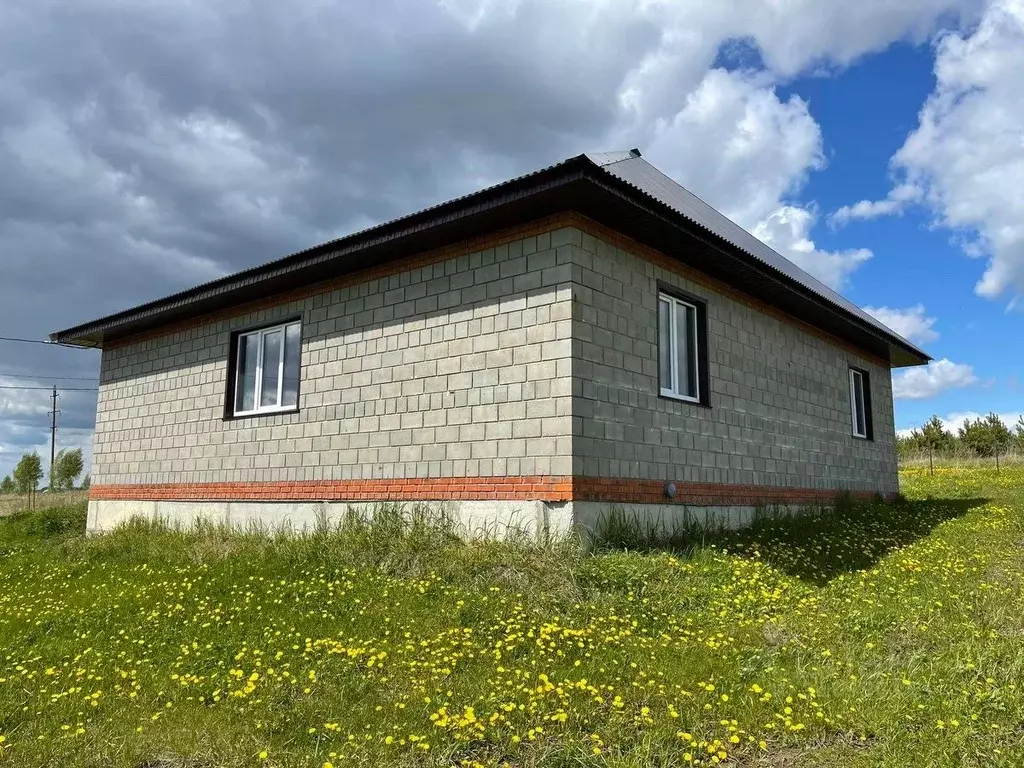 Дом в Мордовия, с. Старое Шайгово ул. Восточная, 20 (83 м) - Фото 1