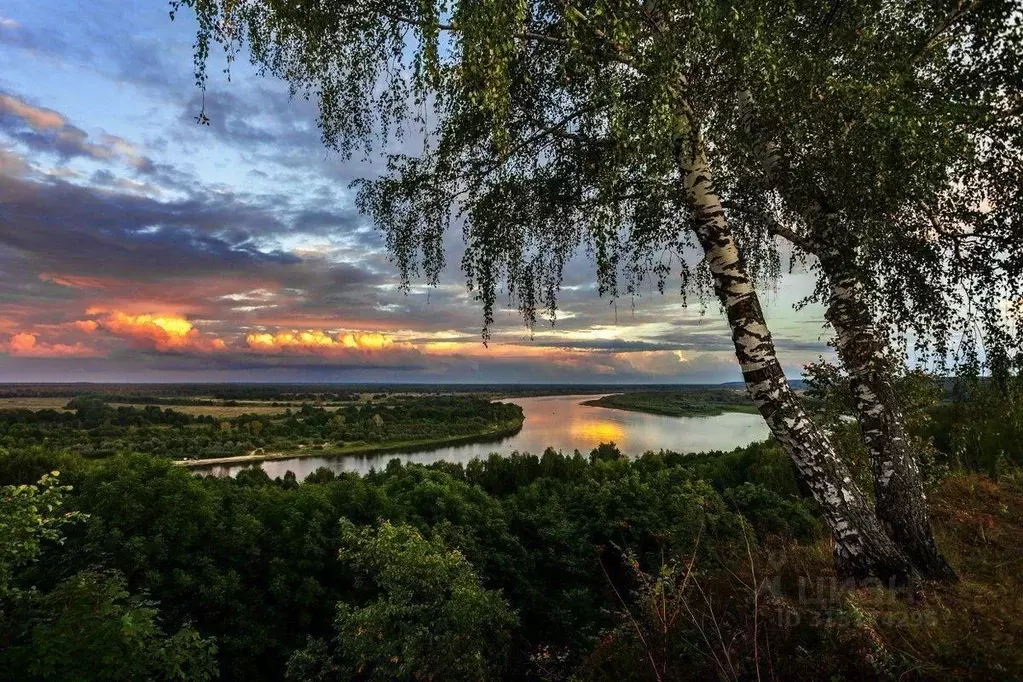 Участок в Московская область, Серпухов городской округ, Дали № 1 на ... - Фото 0