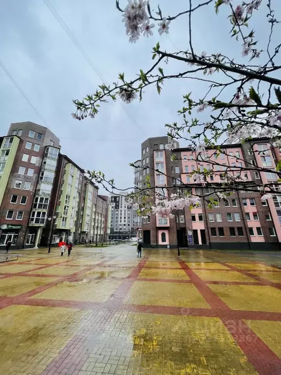 1-к кв. Калининградская область, Калининград Артиллерийская ул., 58А ... - Фото 2