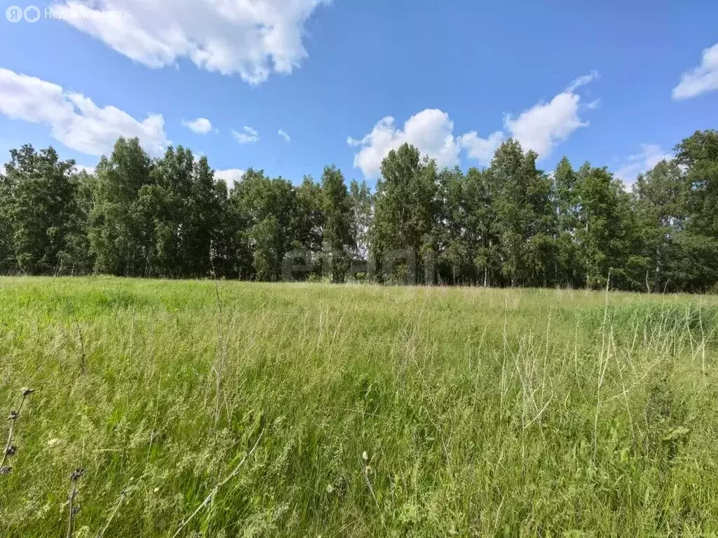 Участок в Новосибирский район, Морской сельсовет, ТСН Ближняя Дача ... - Фото 0