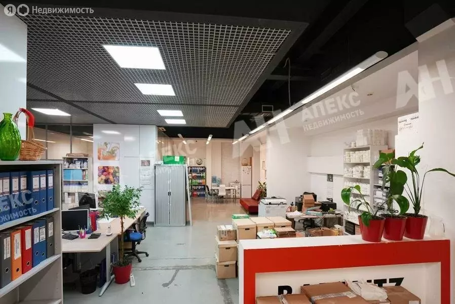 Офис (278 м) - Фото 2