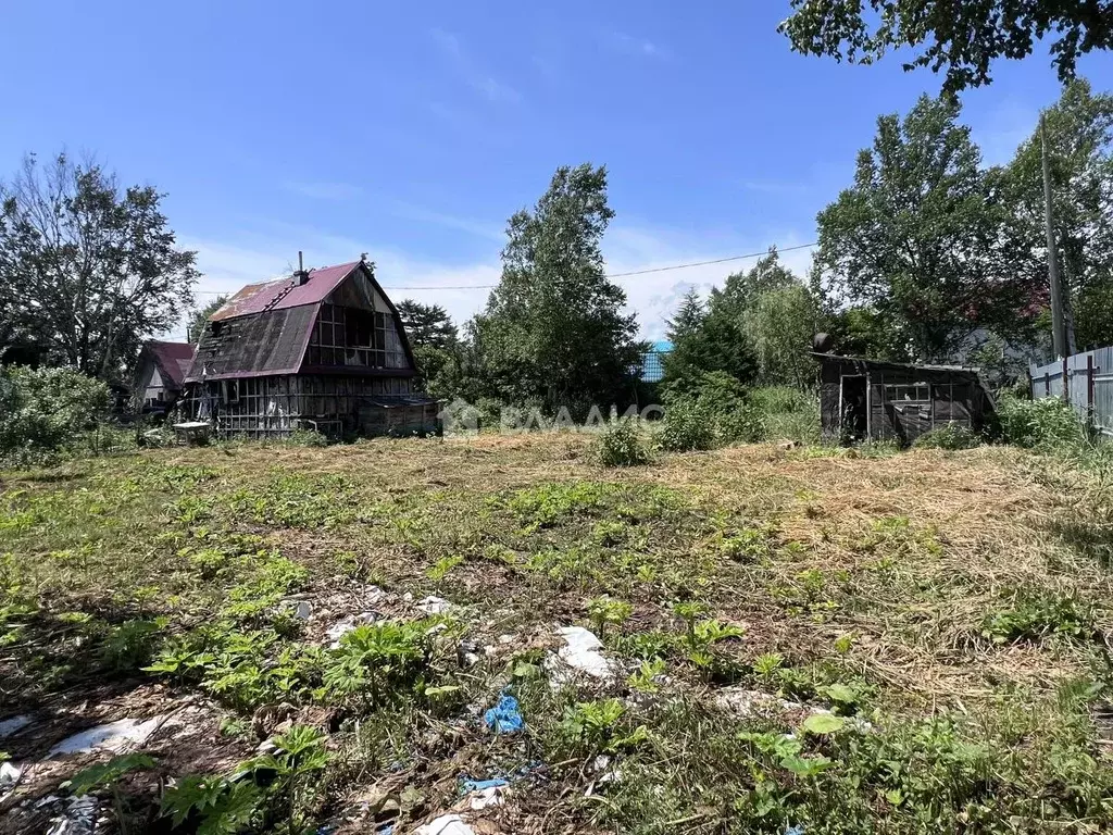 Участок в Сахалинская область, Южно-Сахалинск Труд СНТ, пер. ... - Фото 1
