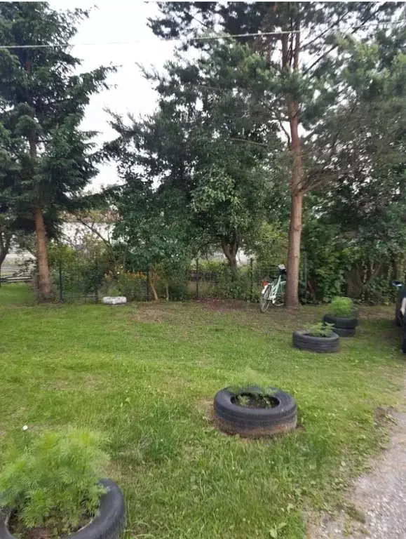 3-к кв. Калининградская область, Славск Первомайская ул. (65.0 м) - Фото 2