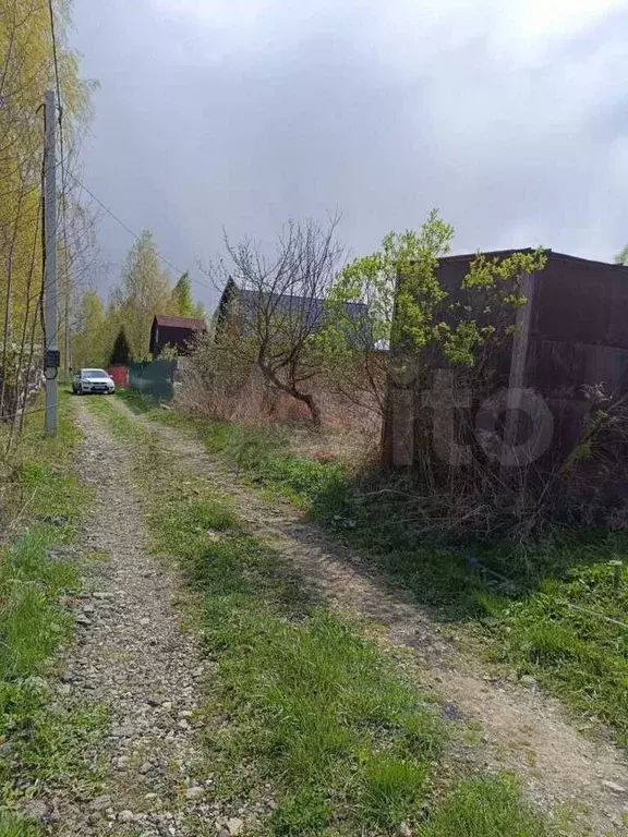 Участок 6 сот. (СНТ, ДНП) - Фото 1