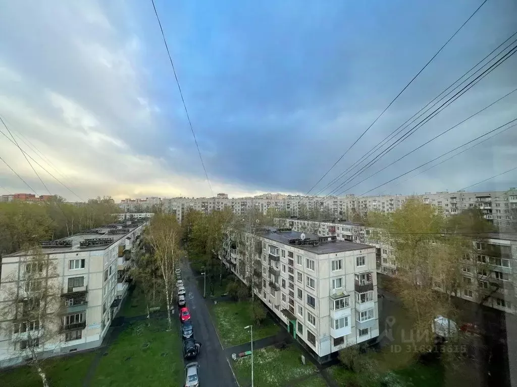 2-к кв. Санкт-Петербург Авангардная ул., 13 (53.0 м) - Фото 0