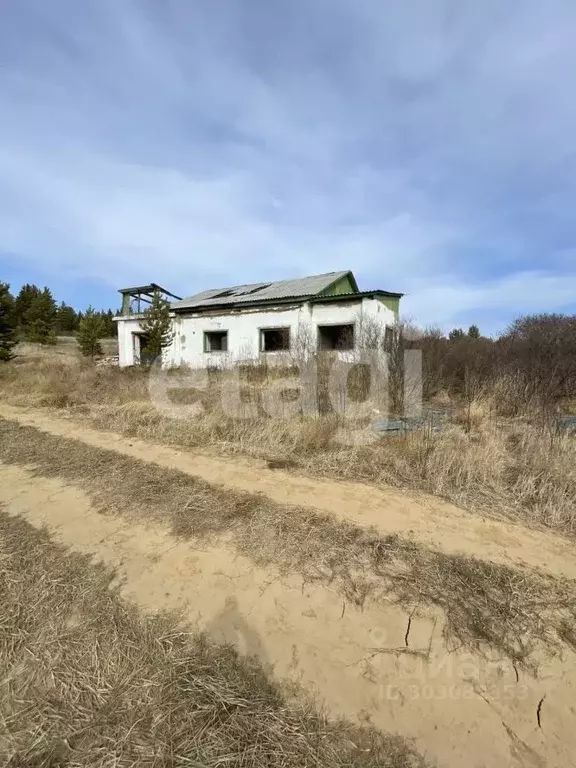 участок в бурятия, тарбагатайский район, заводское муниципальное . - Фото 0