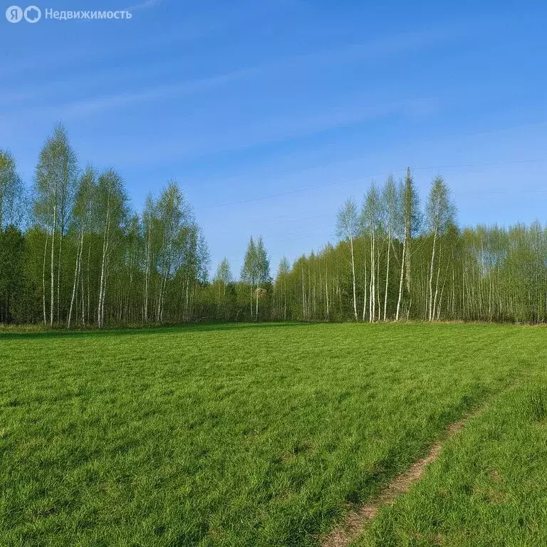 Участок в деревня Старая Руза, Берёзовая улица (15 м) - Фото 1