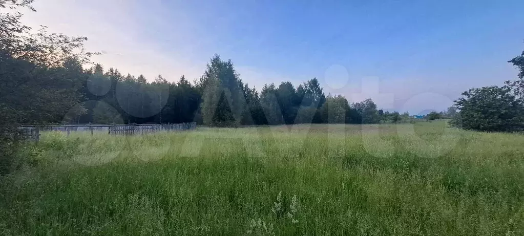 Дом 25 м на участке 33 сот. - Фото 1