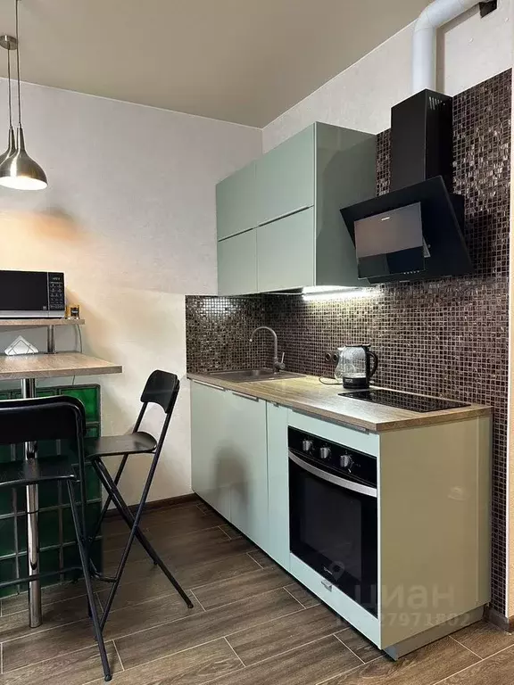 Студия Ленинградская область, Ломоносовский район, Аннинское городское ... - Фото 2