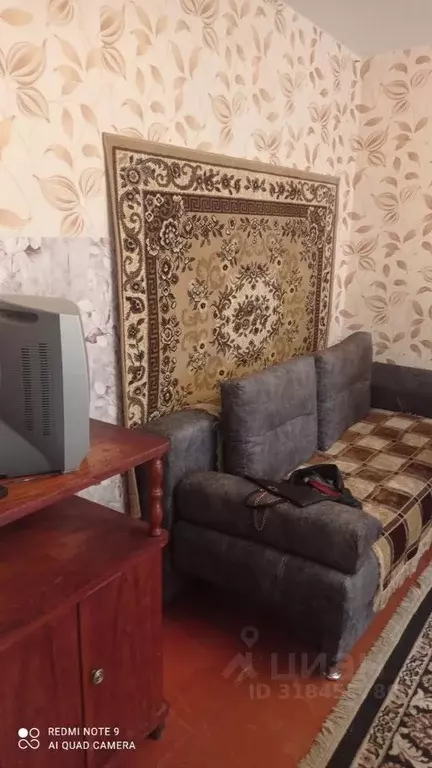 1-к кв. Пензенская область, Пенза ул. Пушкина, 29 (31.0 м) - Фото 0