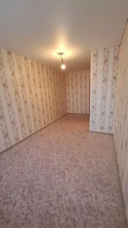 1-к кв. Нижегородская область, Дальнеконстантиновский муниципальный ... - Фото 2