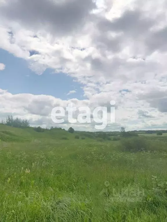 Участок в Ярославская область, Некрасовское с/пос, д. Михалево  (30.0 ... - Фото 1