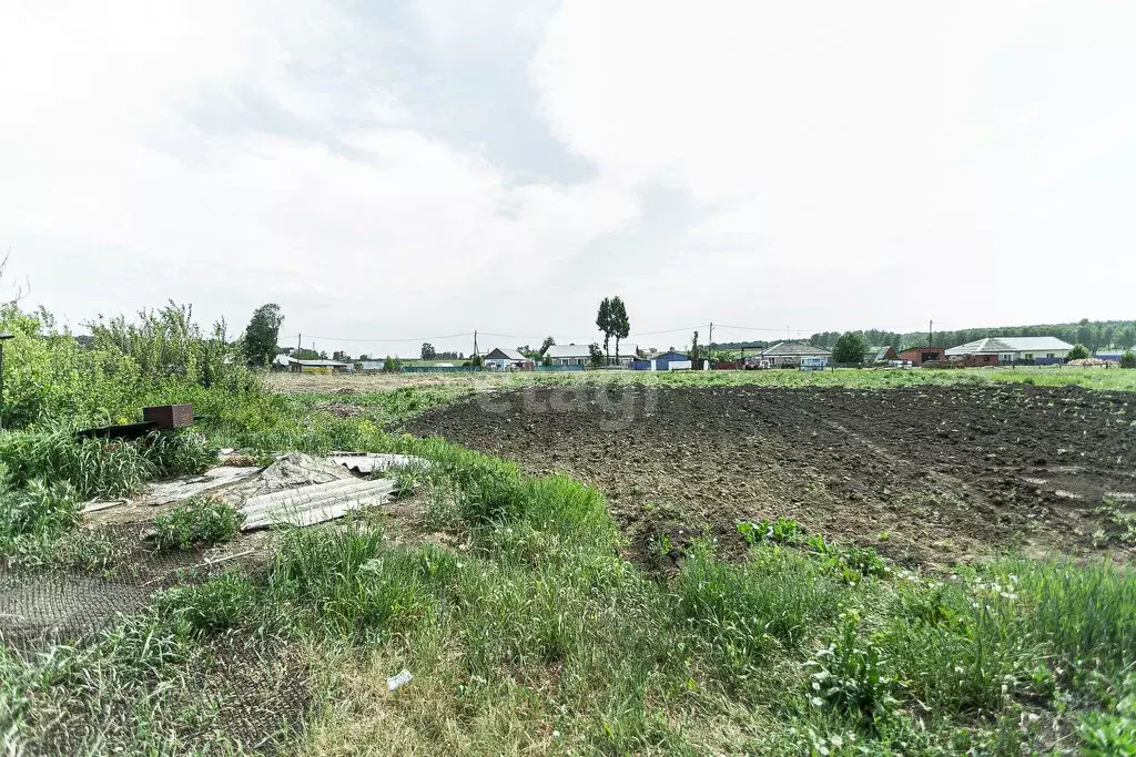 Участок в Искитимский район, Чернореченский сельсовет, село Старый ... - Фото 1