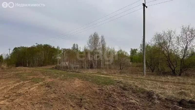 Участок в Амурская область, Благовещенский муниципальный округ, село ... - Фото 1