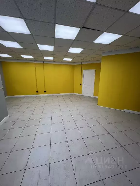 Помещение свободного назначения в Липецкая область, Липецк Нижняя ... - Фото 1