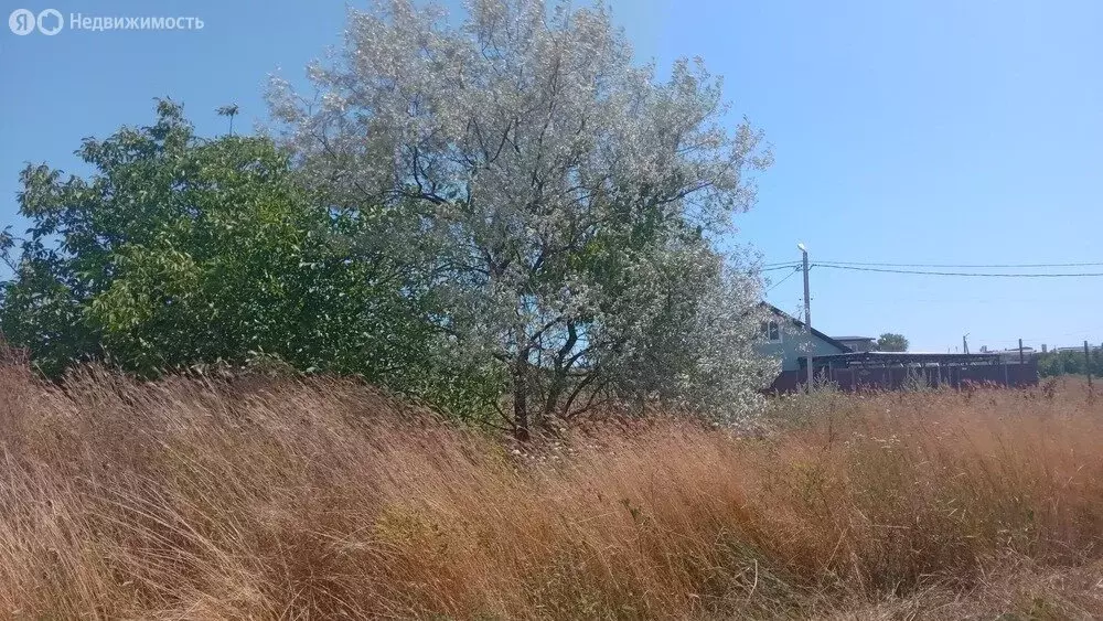Участок в село Цибанобалка, Васильковая улица, 6 (7 м) - Фото 0