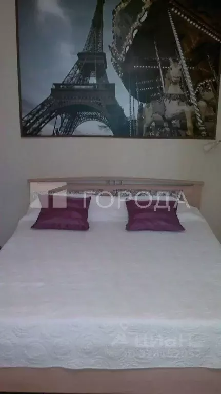 2-к кв. Новосибирская область, Новосибирск ул. Серафимовича, 19 (53.0 ... - Фото 2