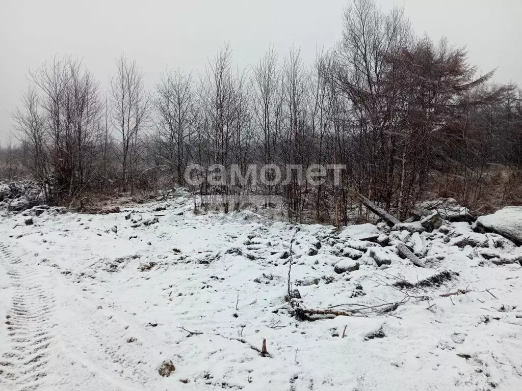 Участок в Сахалинская область, Анивский городской округ, с. Рыбацкое  ... - Фото 1