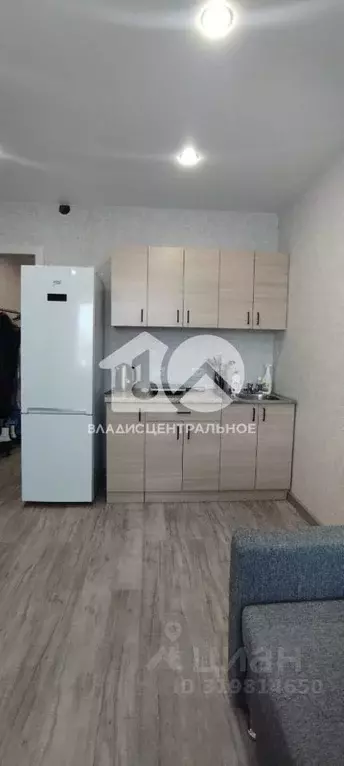 Студия Новосибирская область, Новосибирск ул. Забалуева, 102 (23.5 м) - Фото 1