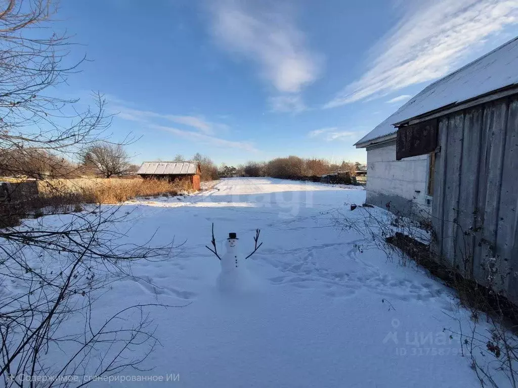 Участок в Амурская область, Ивановский муниципальный округ, с. ... - Фото 1