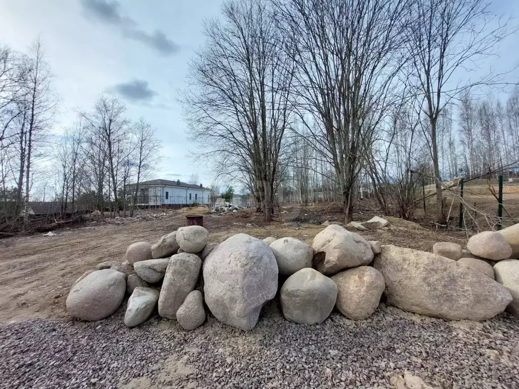 Участок в Ленинградская область, Выборгский район, Первомайское с/пос, ... - Фото 1