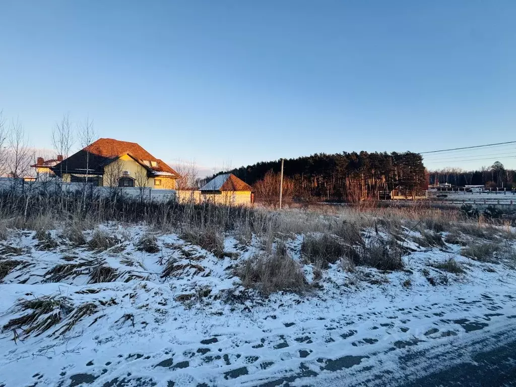 Участок в Московская область, Чехов муниципальный округ, д. Покров ул. ... - Фото 2