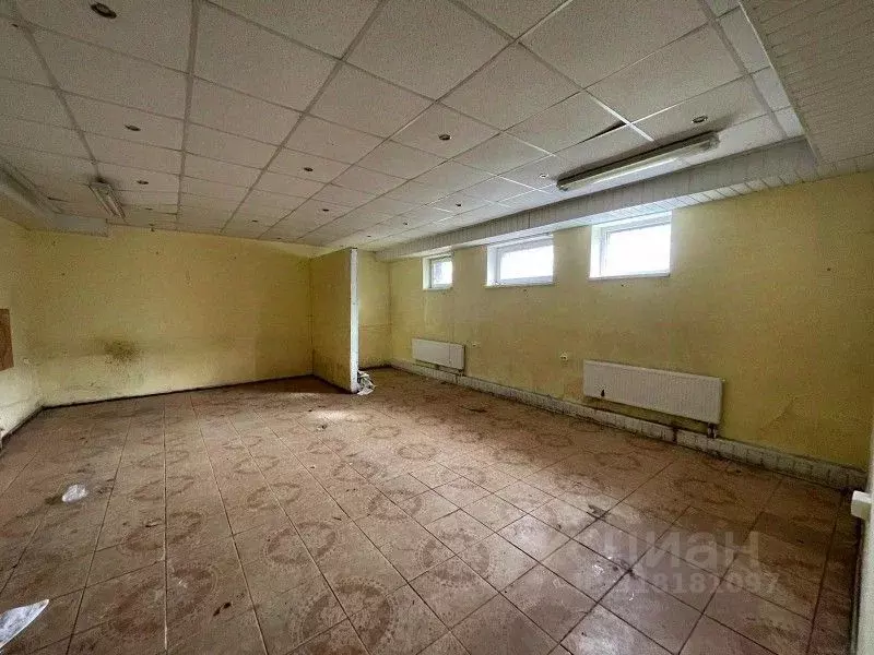 Помещение свободного назначения в Калининградская область, Светловский ... - Фото 0