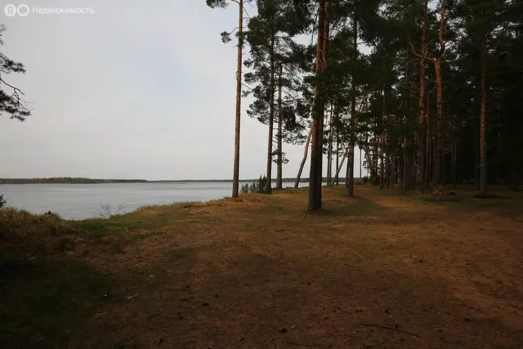 Участок в Вологодская область, Череповецкий муниципальный округ, ... - Фото 1
