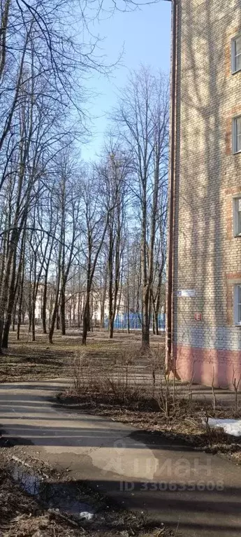 1-к кв. Московская область, Красноармейск Пушкинский городской округ, ... - Фото 2