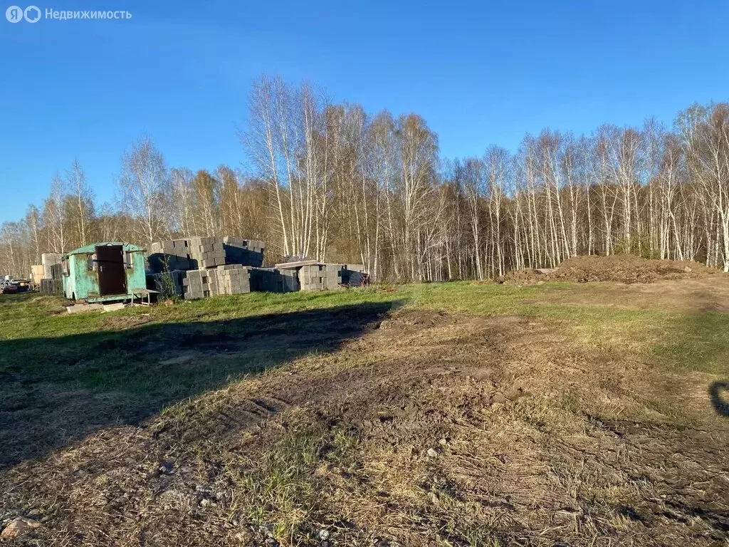 Участок в Станционный сельсовет, ТСН Облепиха, Тихая улица (11.44 м) - Фото 1