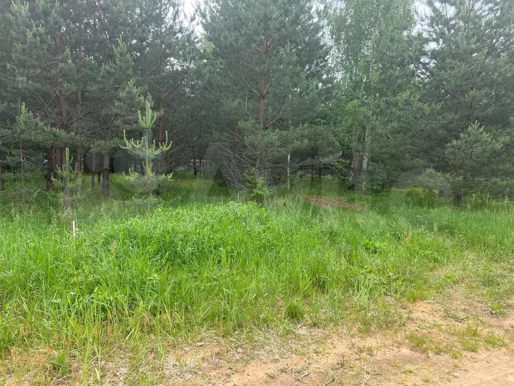 Участок 22 сот. (СНТ, ДНП) - Фото 0