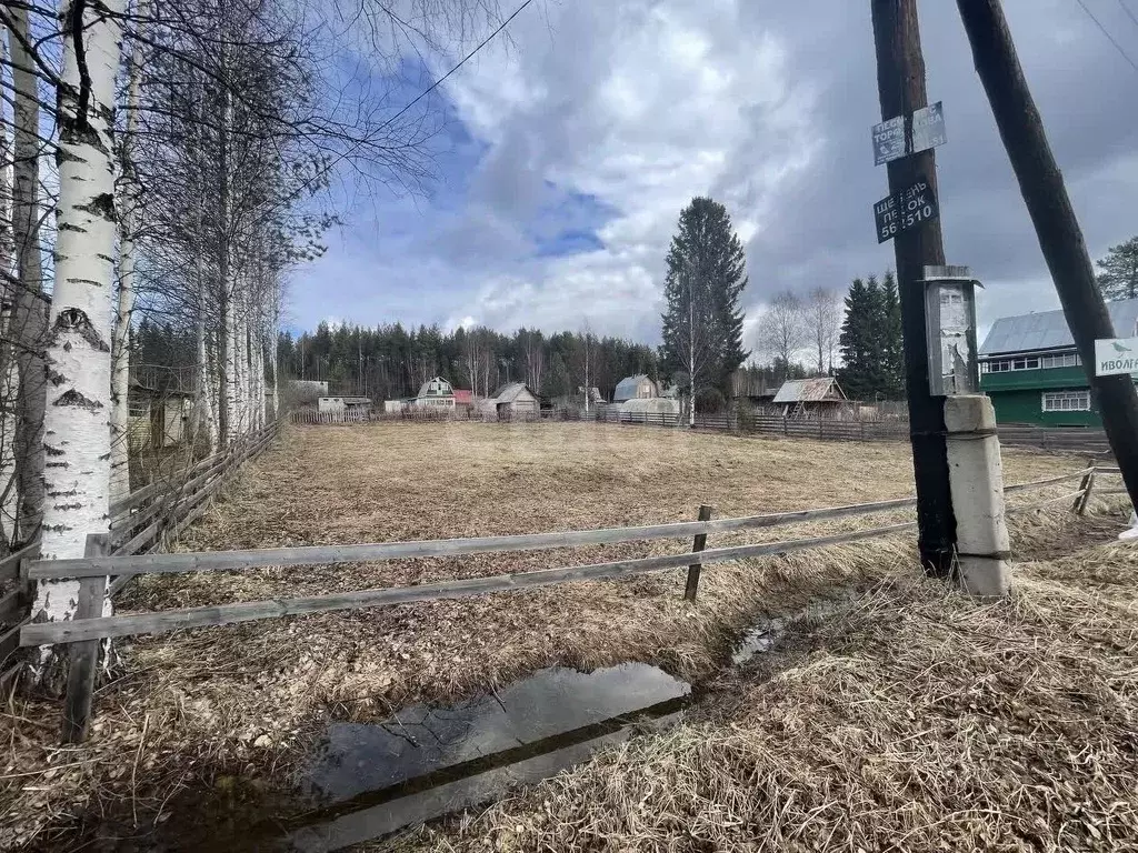 Участок в Коми, Сыктывдинский район, Выльгорт муниципальное ... - Фото 1