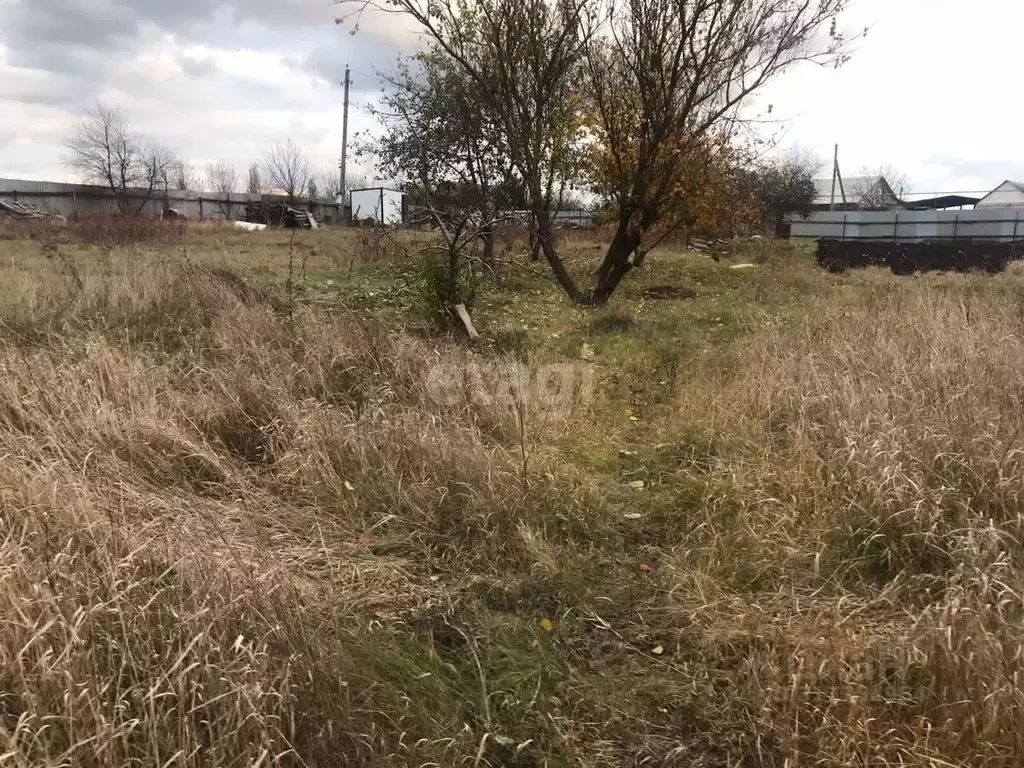 Участок в Белгородская область, Белгородский район, Беловское с/пос, ... - Фото 1