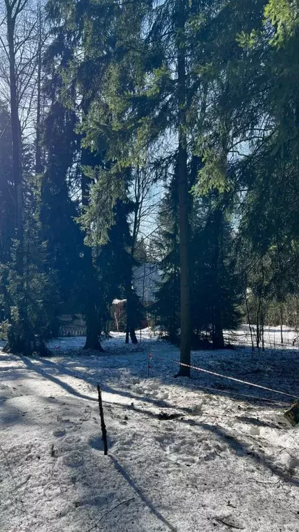 Участок в Московская область, Лобня Луговая мкр, Восточная ул., 10а ... - Фото 2