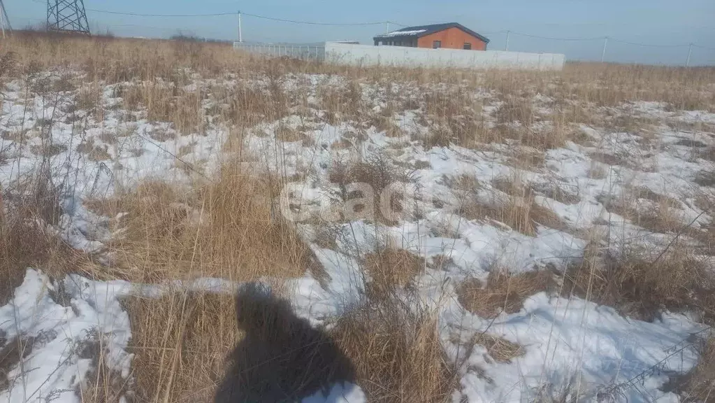 Участок в Тульская область, Тула городской округ, д. Дементеево, ... - Фото 1