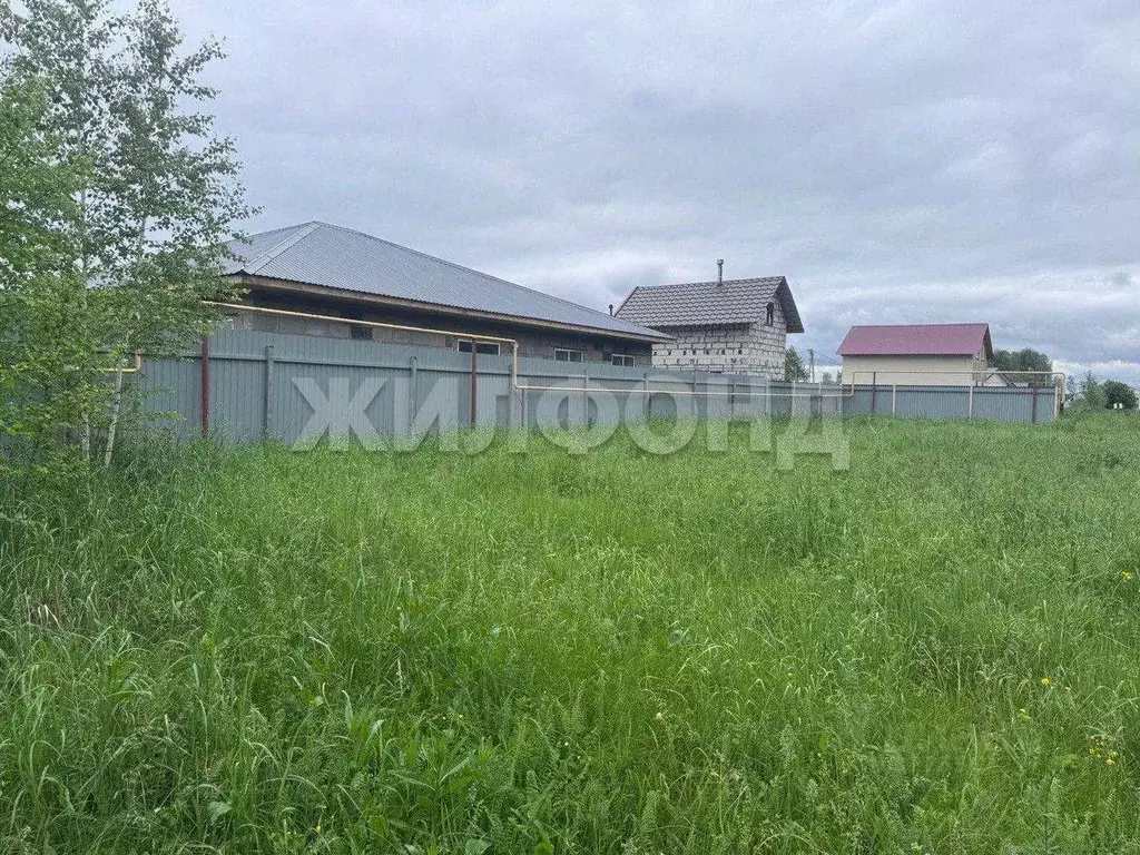 Участок в Новосибирская область, Новосибирский район, Криводановский ... - Фото 1