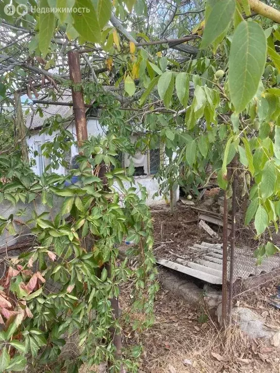 Участок в Евпатория, СНТ Авиатор, Вторая аллея (5.55 м) - Фото 1