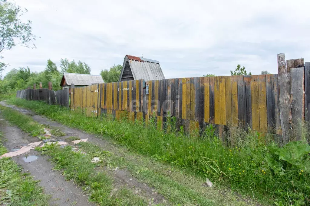 Участок в Тобольск, садоводческое товарищество Виктория-2, 2-я Луговая ... - Фото 0