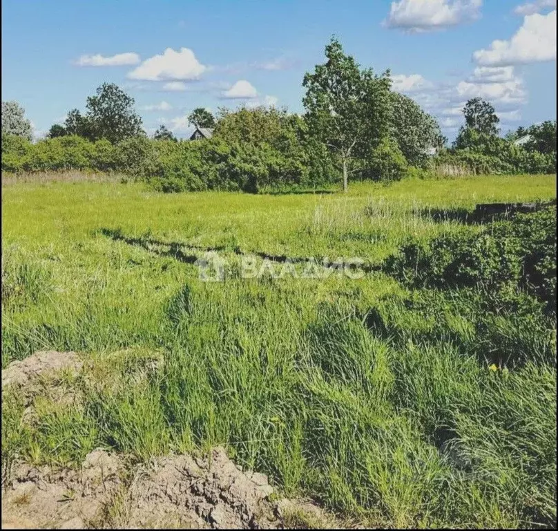 Участок в Ленинградская область, Гатчинский муниципальный округ, д. ... - Фото 2