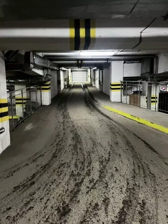 Гараж в Красноярский край, Красноярск ул. Алексеева, 50 (16 м) - Фото 2