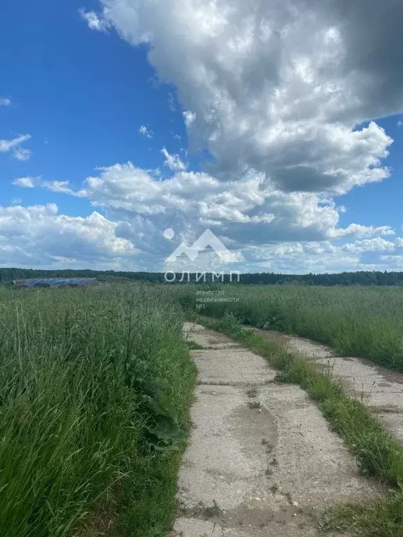 Участок в Вологодская область, пос. Надеево ул. Центральная (15.0 ... - Фото 2