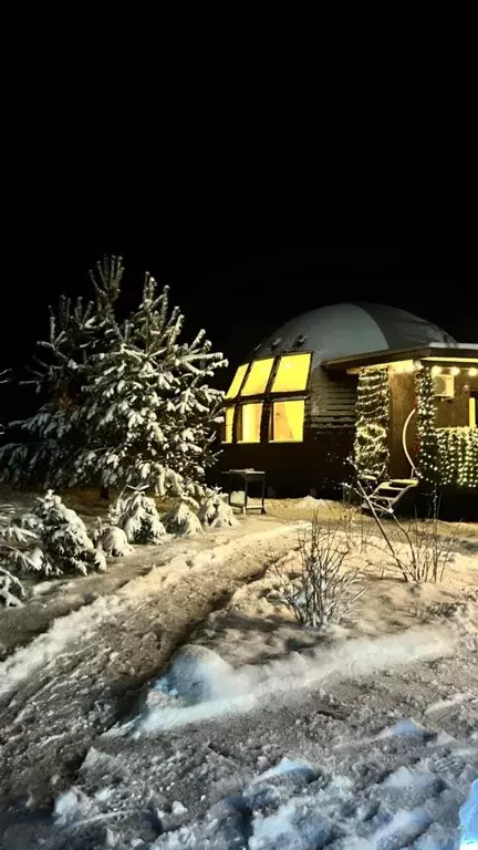 Дом в Ленинградская область, Выборгский район, Красносельское с/пос, ... - Фото 1