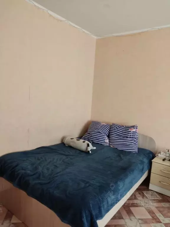 1-к кв. Алтайский край, Барнаул Взлетная ул., 44 (37.0 м) - Фото 2