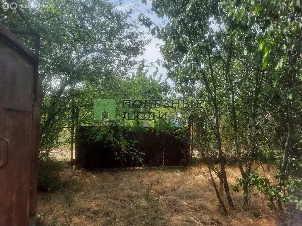 Участок в Трудовское сельское поселение, СНТ Здоровье (4 м) - Фото 1