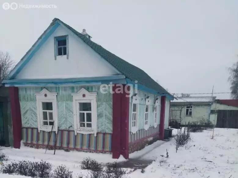 Дом в село Староюрьево, улица 3-я Пятилетка, 8 (22 м) - Фото 0